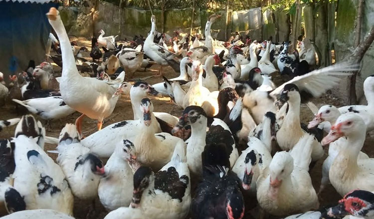 Govt extends VAT relief on basic food items until 2028